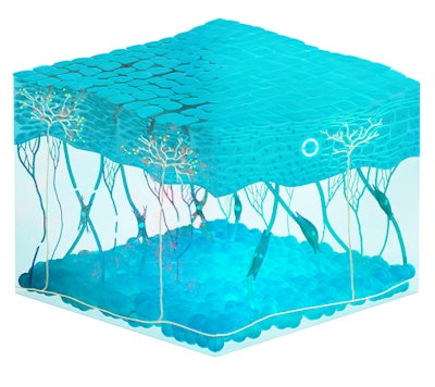 Lipotrue Ct2210 Image3