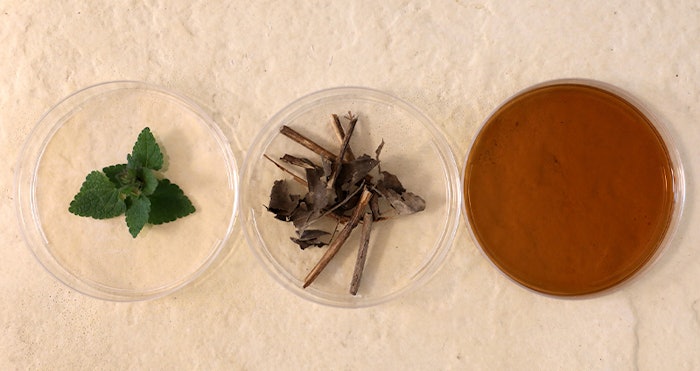 Givaudan Ct2211 Lead