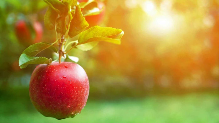 Among the natural compounds, polyphenols have been widely explored for their radiation-absorbing properties.