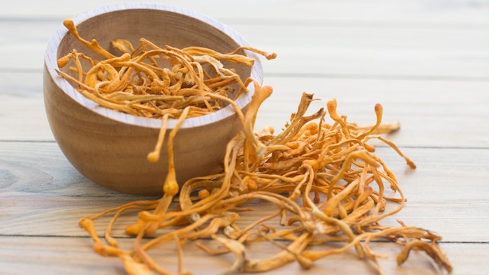 Cordyceps militaris (pictured) is used as the substrate from which the active essence is fermented to create Bloomage Biotech's Bioyouth-FCM Cordyceps Militaris Ferment Filtrate.