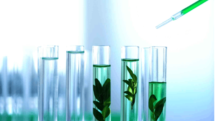 While eco-friendly and organic solvents address growing concerns for the environment, how do they impact the rheology of product formulations? A free webcast on Dec. 13, 2022, sponsored by Genomatica, explains. Register now; it's free.