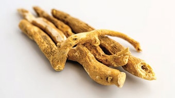 Ashwagandha 5404st Copy