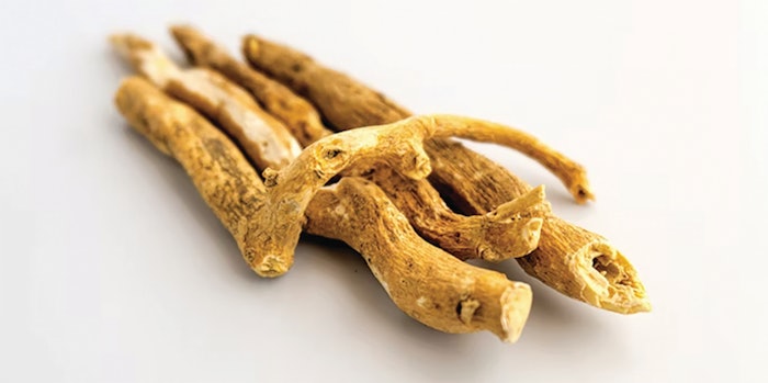 Ashwagandha 5404st Copy