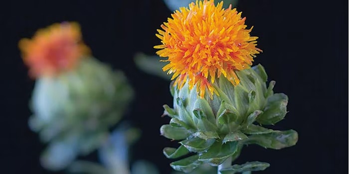Safflower Oil Arista Industries