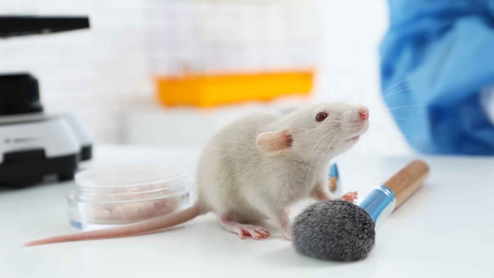 After 8+ Years, is Canada Ready to Ban Animal Testing for Cosmetics? |  Cosmetics & Toiletries