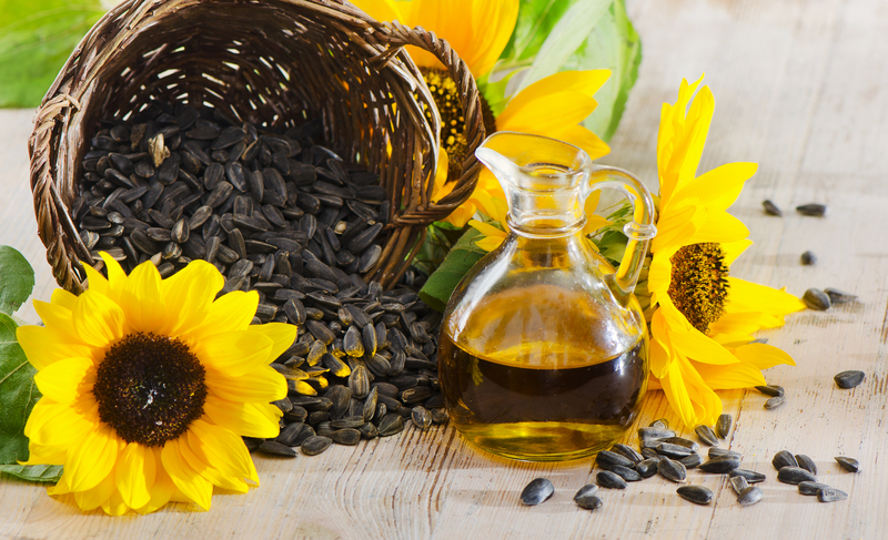 Sunflower seed benefits. #sunflowerseeds #nutrition #sunflowerpower | Sunflower  seeds benefits, Seeds benefits, Sunflower seeds nutrition