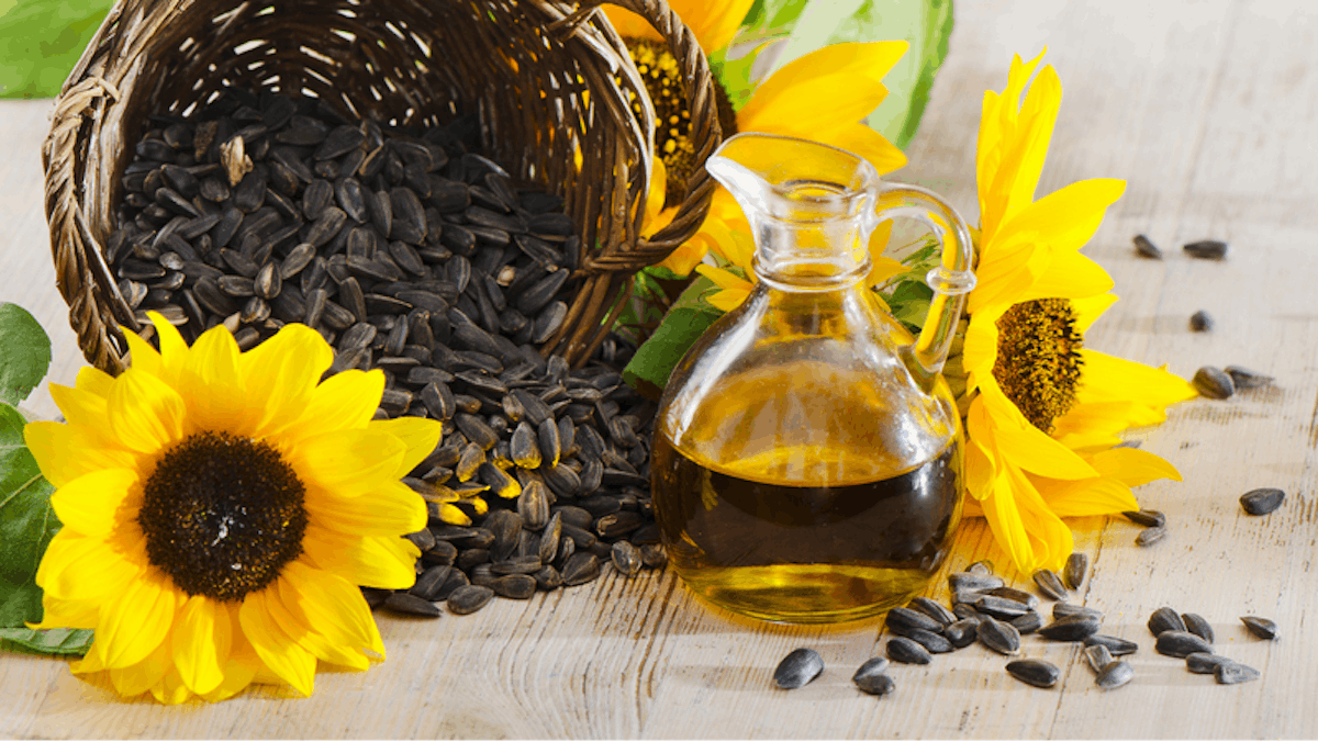 global-sunflower-oil-market-to-bloom-6-by-2033-cosmetics-toiletries