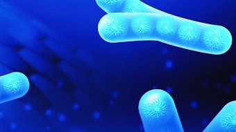 Biomenta Bf Copy (2)