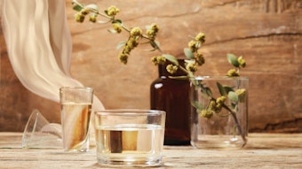 Jdlusteris Optimized (1)