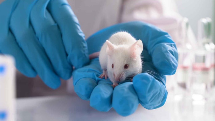 'This new Brazilian norm is a welcome next step in the right direction ... However, a domestic testing ban on its own will not prevent the import and sale of newly animal-tested cosmetics from other countries.'