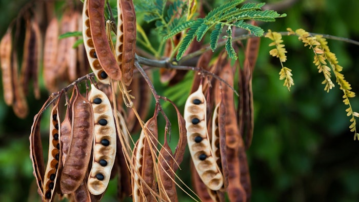 Expanscience Ct2303 Lead