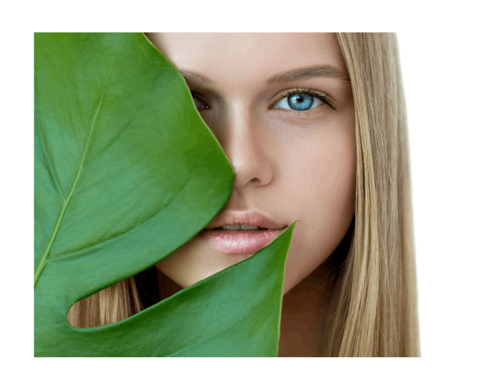 Shutterstock 678476191