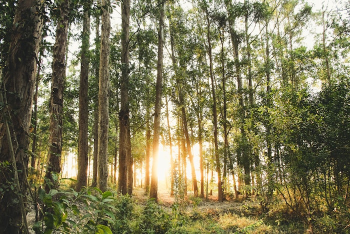 The company has implemented various sustainability initiatives including using renewable energy, reducing waste and emissions and implementing social and environmental standards across its operations.