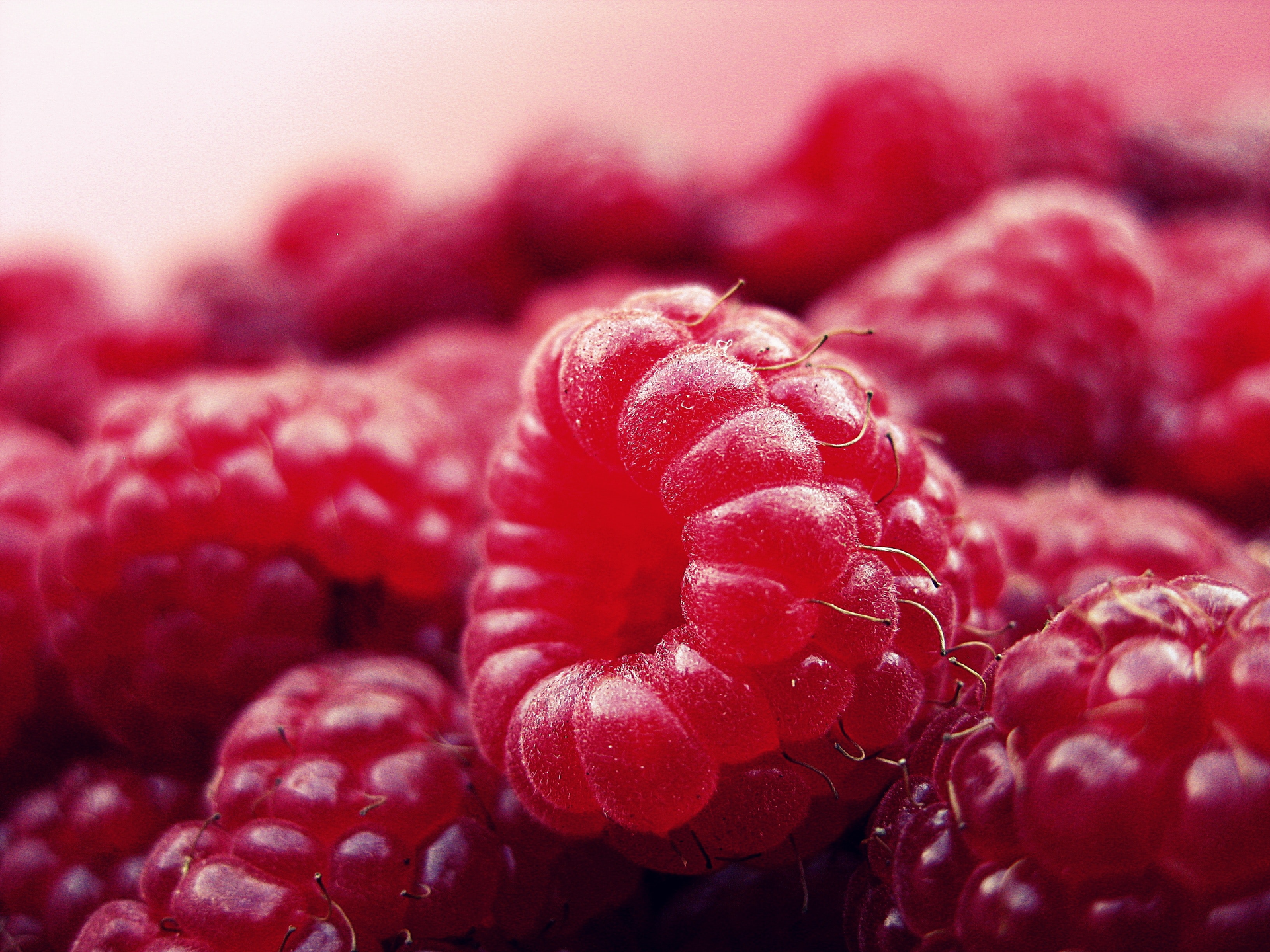 The &alpha;-ionone is Insempra's first functional ingredient that was biotechnologically produced, initially developed by Phytowelt Green Technologies.