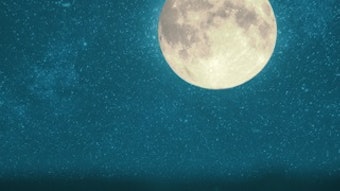 Regenight