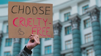 Cruelty Free International chief executive, Michelle Thew, said, 'It is outrageous that the government has abandoned the ban on using animals in cosmetics testing, and did so in secret while giving the impression that the policy remained in place.'