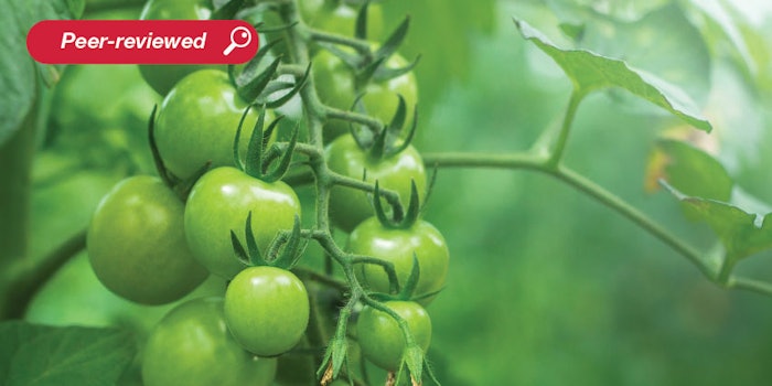 α-Tomatine is an antinutritional alkaloid that was extracted using a novel eco-friendly method from discarded unripe tomatoes.