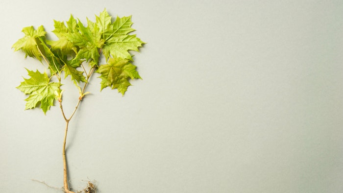 ACC convened a panel of external sustainability leaders from academia and the nonprofit and media sectors to select the award winners.