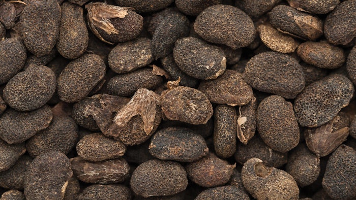 Nearly 100 bioactive compounds have been isolated from babchi's seeds (shown) and fruits, the most prominent being coumarins, flavonoids and meroterpenes; bakuchiol is one of these meroterpenes.