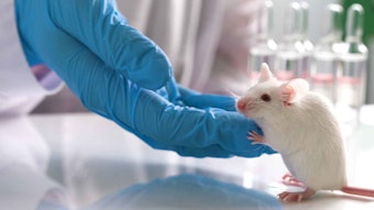 Canada will now join more than 40 jurisdictions and major markets that have already passed laws to end or limit cosmetics animal testing and/or sales.
