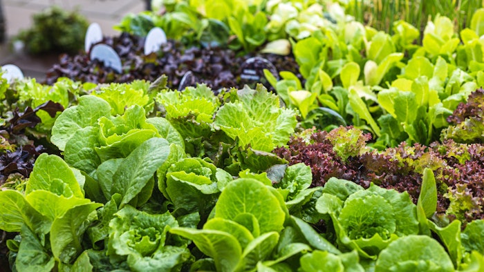 The technology platform offers manufacturers the opportunity to meet regulatory changes and consumer demands to replace traditional fossil-based synthetic polymers.