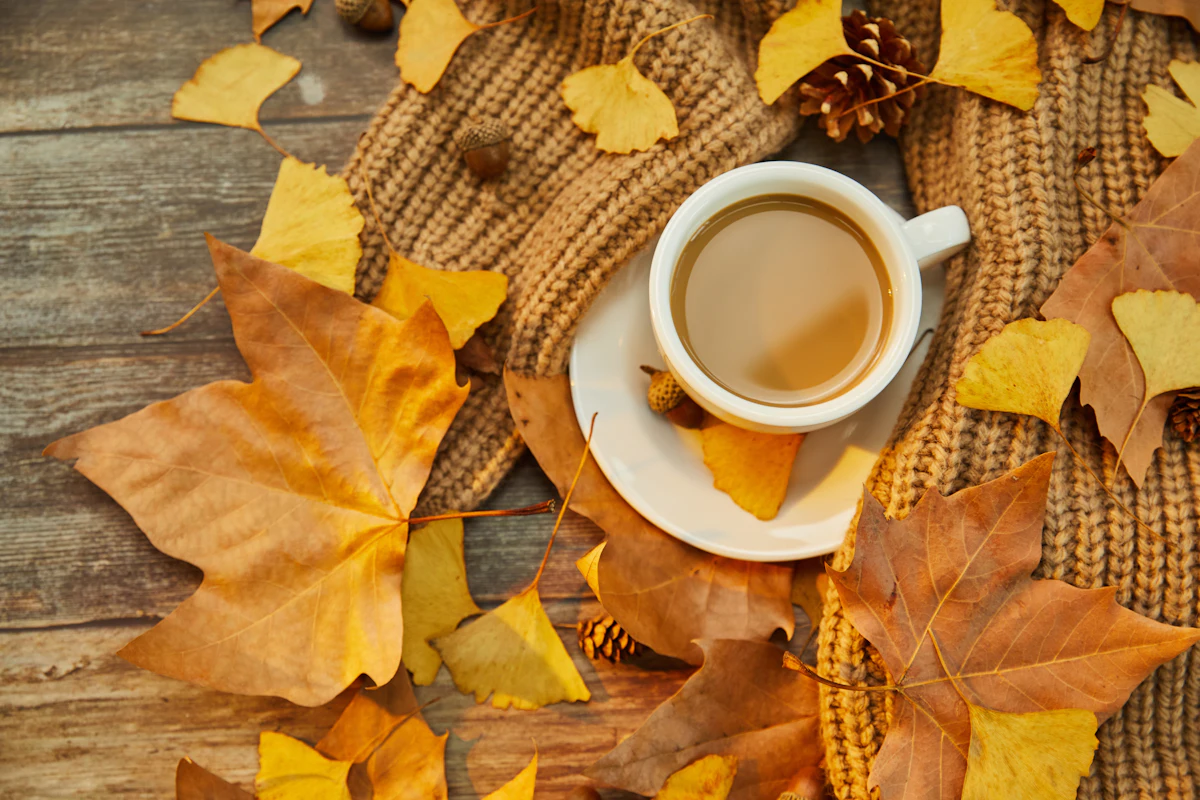 Eckart Releases Color Trend Concepts for Autumn and Winter of 2024 and 2025 - Vimarsana News