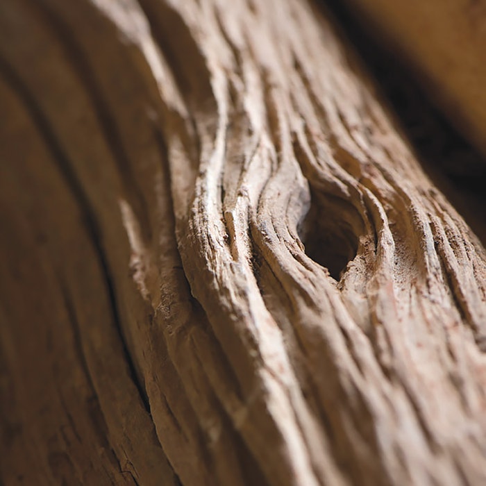 We know that the aromatic profile of the essential oil from the same plant varies according to numerous parameters—its geolocation, according to the soil, according to the meteorology, particularly the rate of precipitation, if the harvest comes from a plantation or if it is uncultivated.