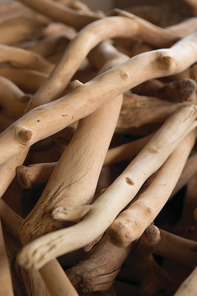 Fragrant or architectural, this wood will serve as a scented framework for a perfume or a temple.