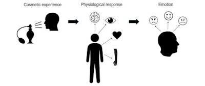 Figure 1. James-Lange theory of the experience of using cosmetic products