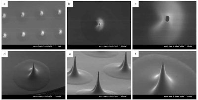 Figure 1. Microneedle scans at t = 0; microneedle array (a); single DMN from above (b); single DMN tip (c); side view of the single DMN (d); side view of the microneedle array (e); and side view of the single DMN tip (f)