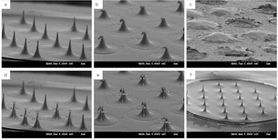 Figure 2. Changes to microneedles at different time points; before application (a), upon thumb force after 30 min (b) and after 120 min (c); height measurements of DMN needles initially (d) and after 30 min; and circular DMN array with adhesive border (f)