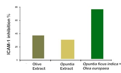 Figure 2. Soothing effects of olive extract and Opuntia extract alone vs. blended