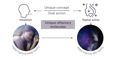 Lmc C&t Feature Content Graphic Element 800px X 400px