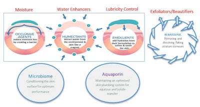 Figure 2. The various ingredient types serve specific functions