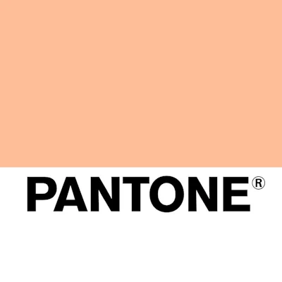 'Pantone 13-1023 Peach Fuzz brings belonging, inspires recalibration, and an opportunity for nurturing, conjuring up an air of calm, offering us a space to be, feel, and heal and to flourish from whether spending time with others or taking the time to enjoy a moment by ourselves,” said Leatrice Eiseman, executive director, Pantone Color Institute.