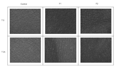Figure 6. Comparison of skin microrelief at time zero (T0) and after two hours (T2) of application of formulations F1 and F2. The skin without the tattoo was used as a control.
