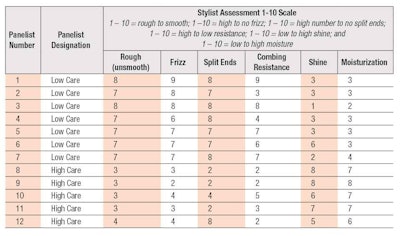 Table 3. Summary of Stylist Assessments for High Care and Low Care Groups
