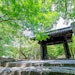 Asakura City (pictured) is home to the Kogane River, which is said to be the only natural habitat for Suizenji nori.
