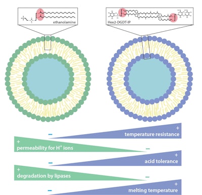 Ct2404 Ghadim Figure 5 Redrawn2
