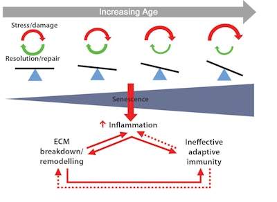 Ct2404 Ghadim Figures 1 Redraw