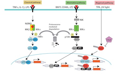 Ct2404 Ghadim Figures 2 Redraw