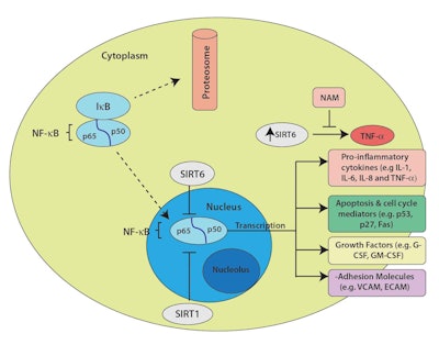 Ct2404 Ghadim Figures 3 Redraw