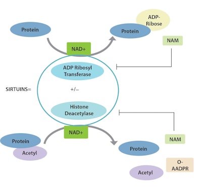 Ct2404 Ghadim Figures 4 Redraw