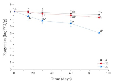 Ct2404 Ghadim New 6 Figure 9web Origokayto Use