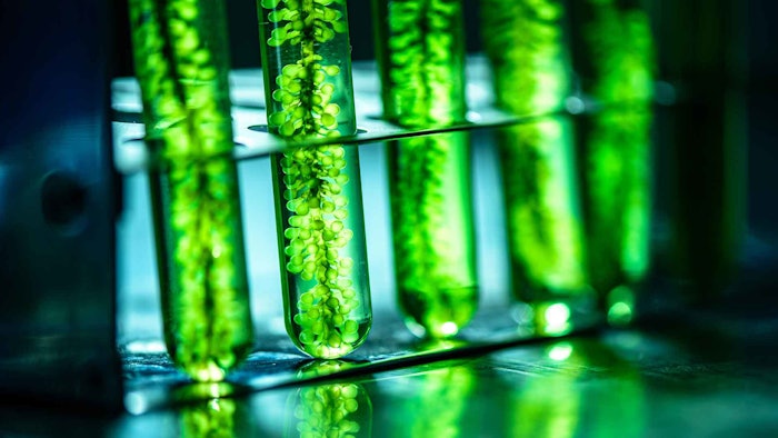Biotechnology has allowed for innovation and the availability, both now and in the future, of beneficial ingredients derived from microalgae – a regenerative and highly productive efficient source of many high-value ingredients.