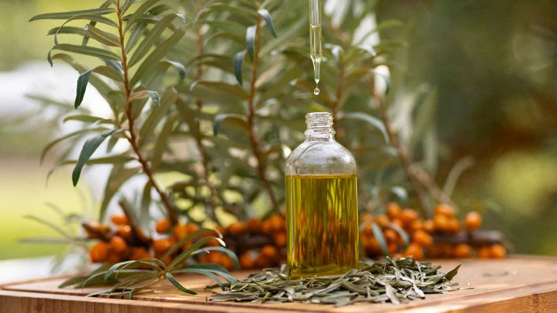 Mastering Plant Chemistry to Unlock Powerful Claims - Vimarsana News