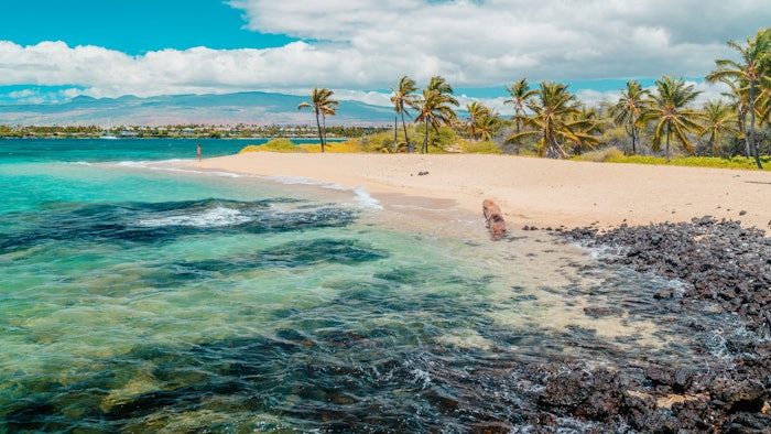 Sunscreens are a hot topic all across the industry, garnering 1.4 million posts on TikTok and 4.2 million posts on Instagram under #sunscreen.