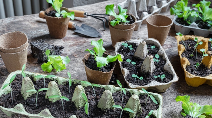 Adobe Stock 559839957