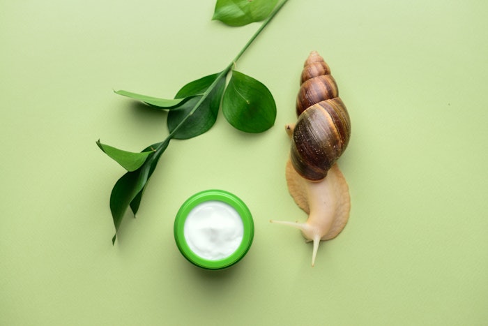 Snail slithering near skin care on a green background