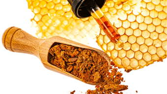 Bee Propolis Honeycomb Product Concept Adobe Stock 321287578